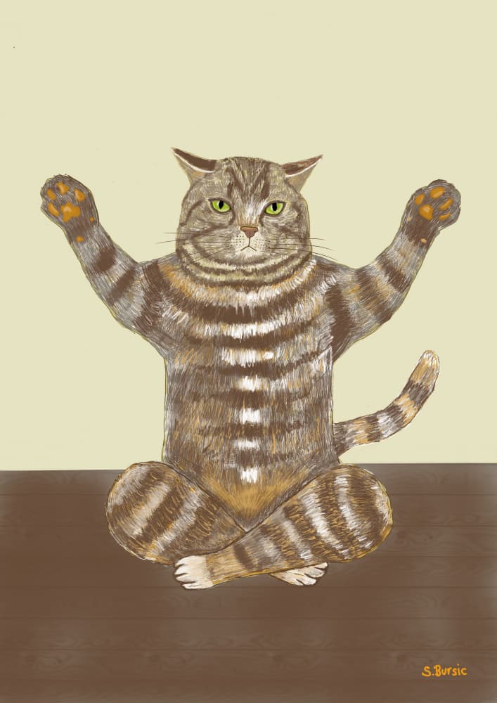Meditating Yoga Cat by Sharyn Bursic — canvas wall art