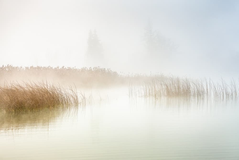 Ethereal Misty Lake by Ulrike Eisenmann — canvas wall art