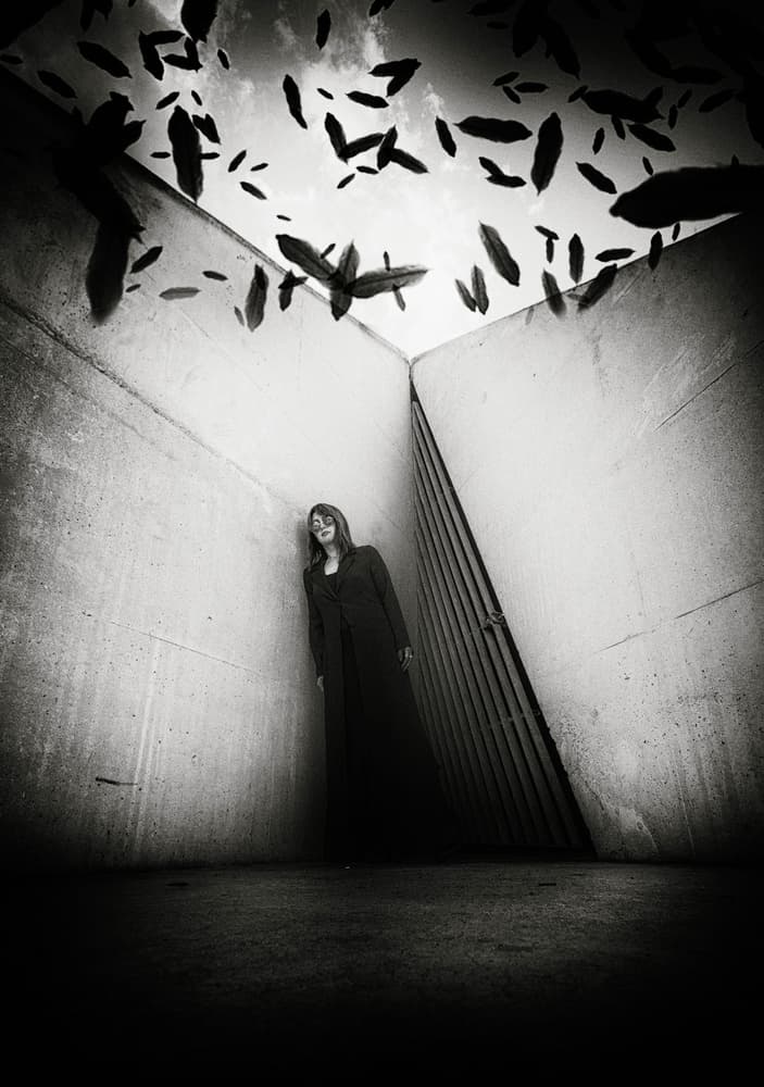 Woman With Falling Feathers by Yuri Shepelev — canvas wall art