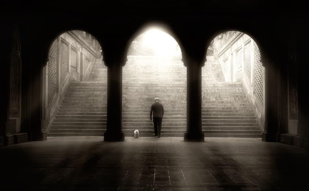 Ascending Towards Light by Louis-Philippe Provost — canvas wall art