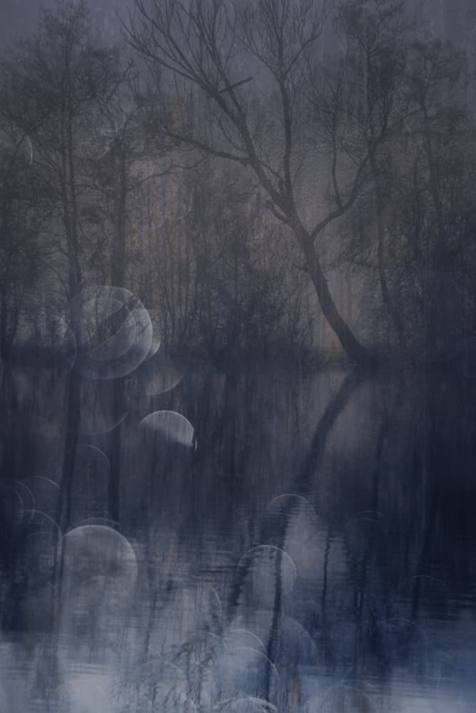 Misty Winter Reflections by Hilda van der Lee — canvas wall art