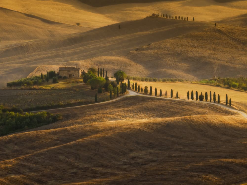Golden Farmhouse Country Road by Michel Manzoni — canvas wall art