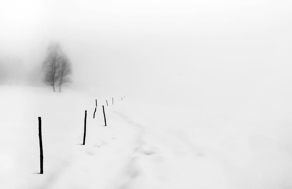 Misty Winter Scene by Giorgio Toniolo — canvas wall art