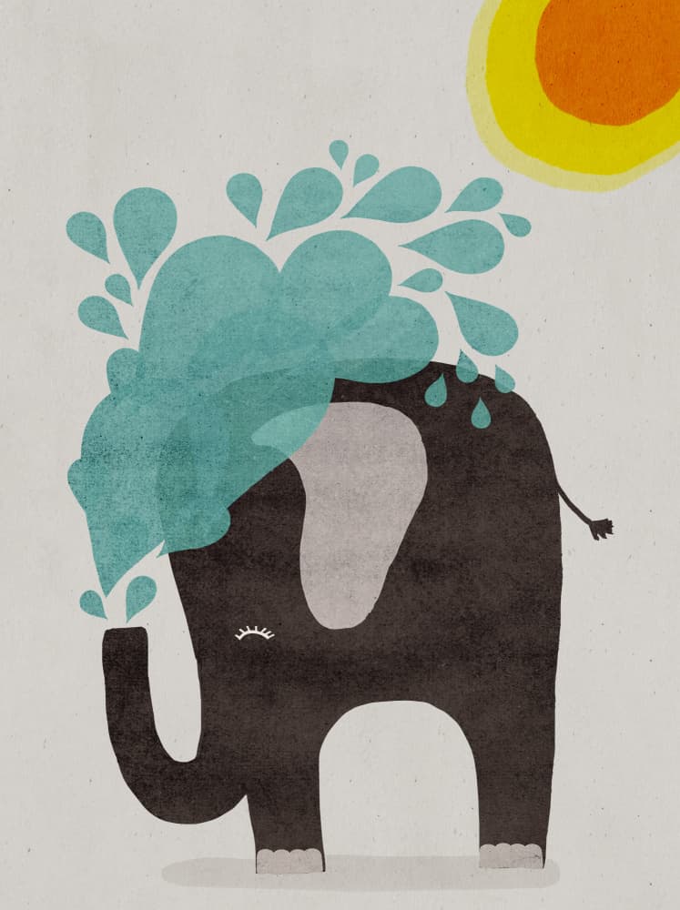 Elephant Splashing by Treechild — canvas wall art