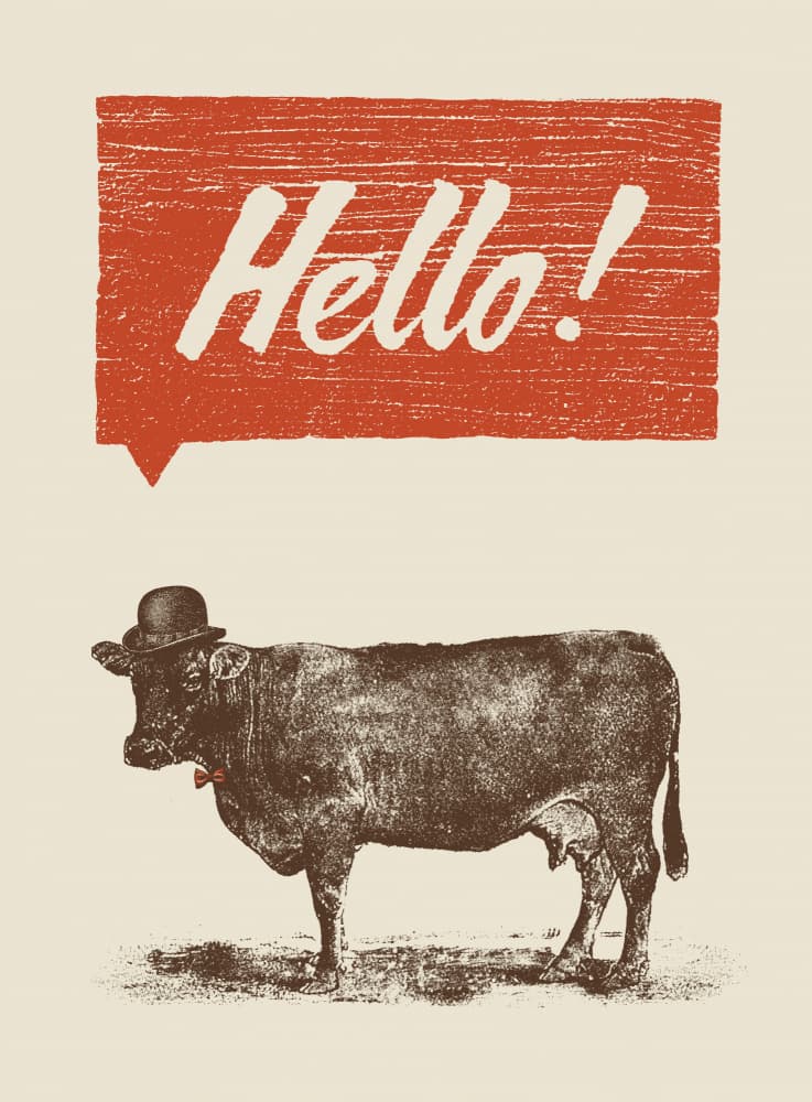 Hello Dapper Cow by Florent Bodart — canvas wall art