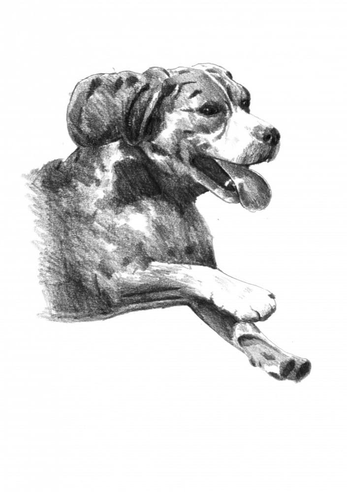 Happy Dog Sketch by Kulik — canvas wall art