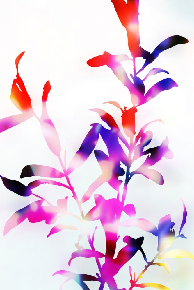 Vibrant Botanical Silhouettes by amini54 — canvas wall art
