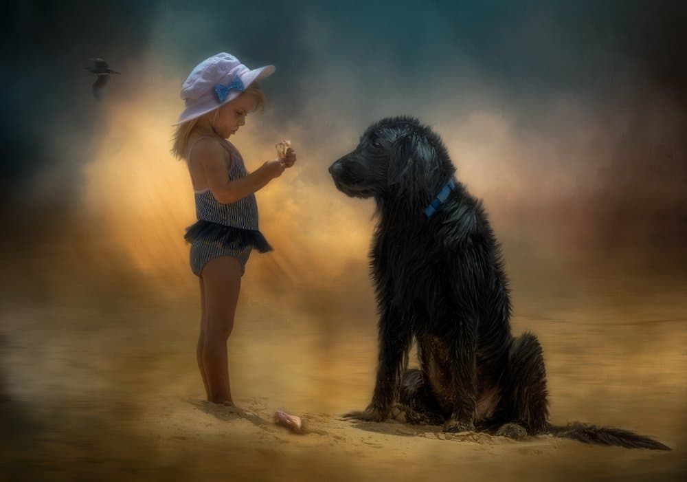 Girl and Dog Beach Moment by Charlaine Gerber — canvas wall art