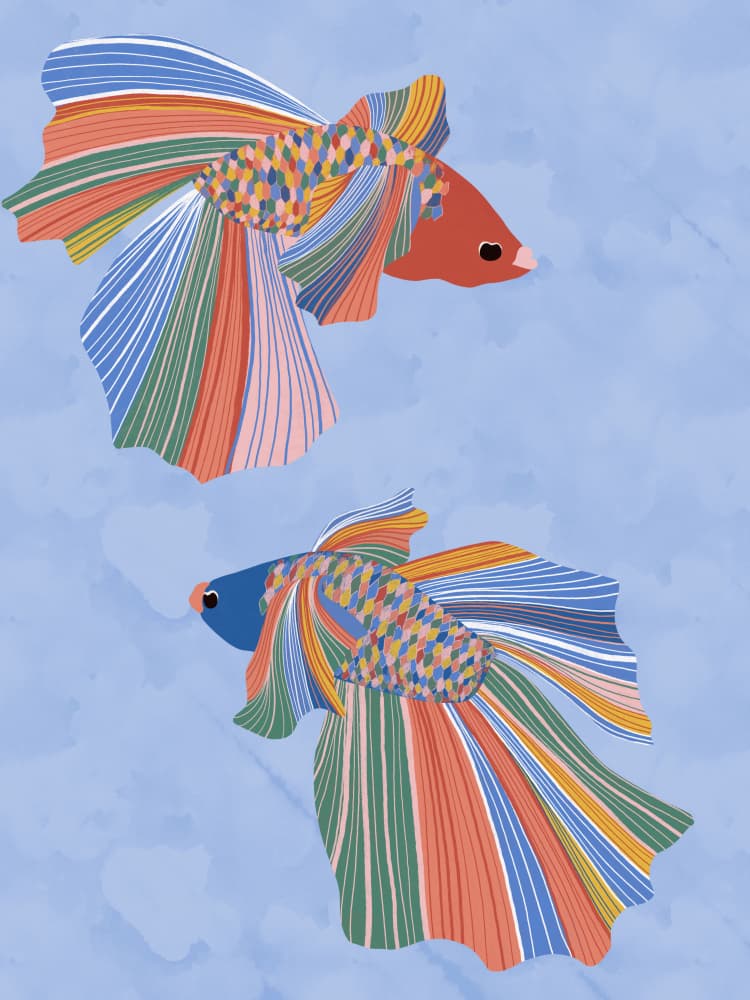 Colorful Betta Duo by Ceyda Alasar — canvas wall art