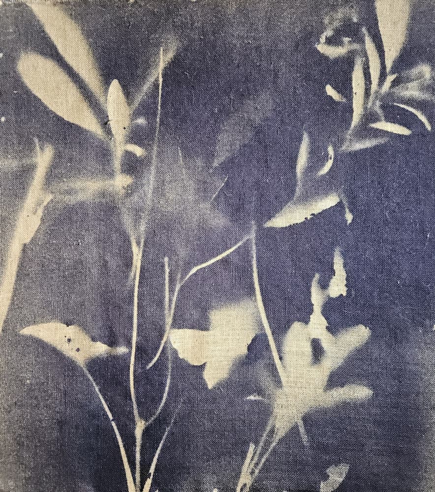Vintage Botanical Blues by Stefano Mazzolini — canvas wall art