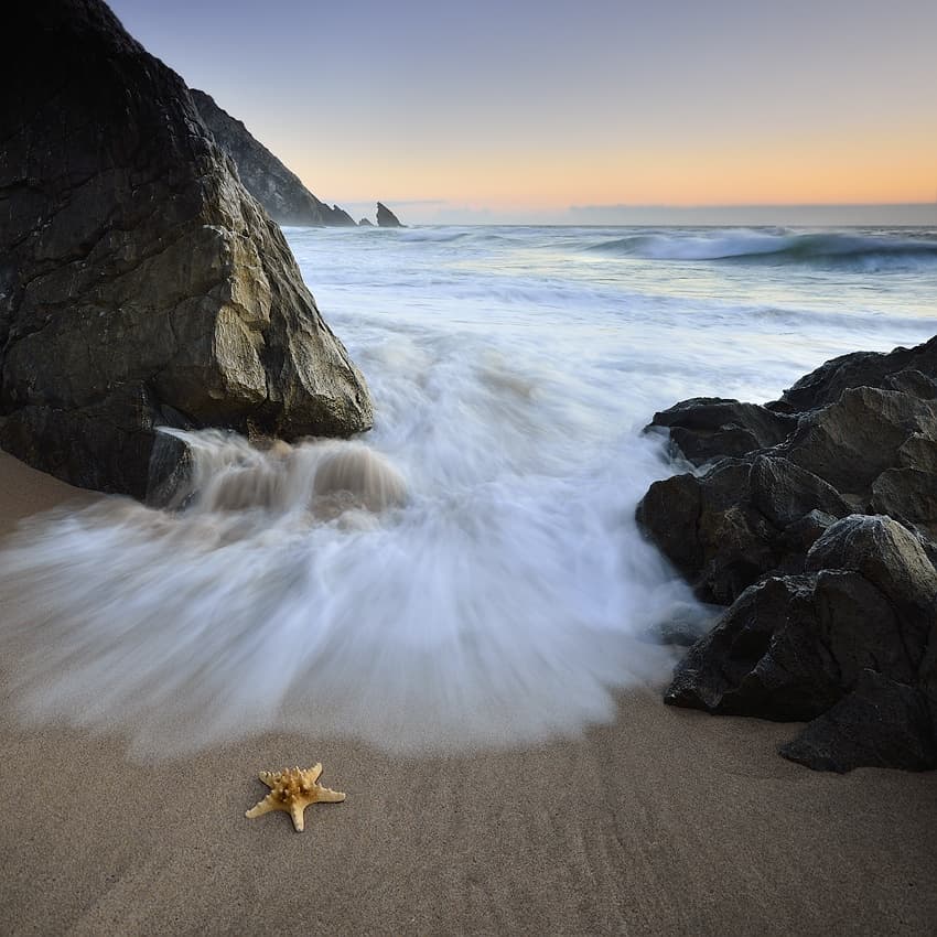 Starfish on Tranquil Beach by Paulo Dias — canvas wall art