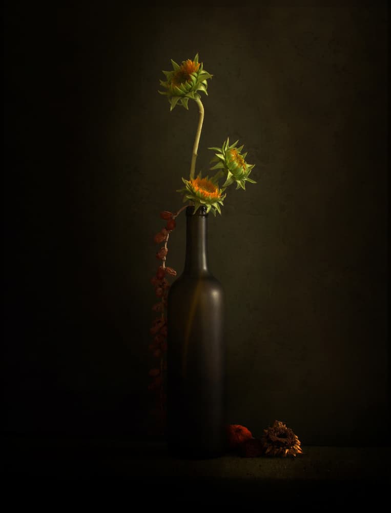 Moody Sunflower Still Life by Margaret Halaby — canvas wall art