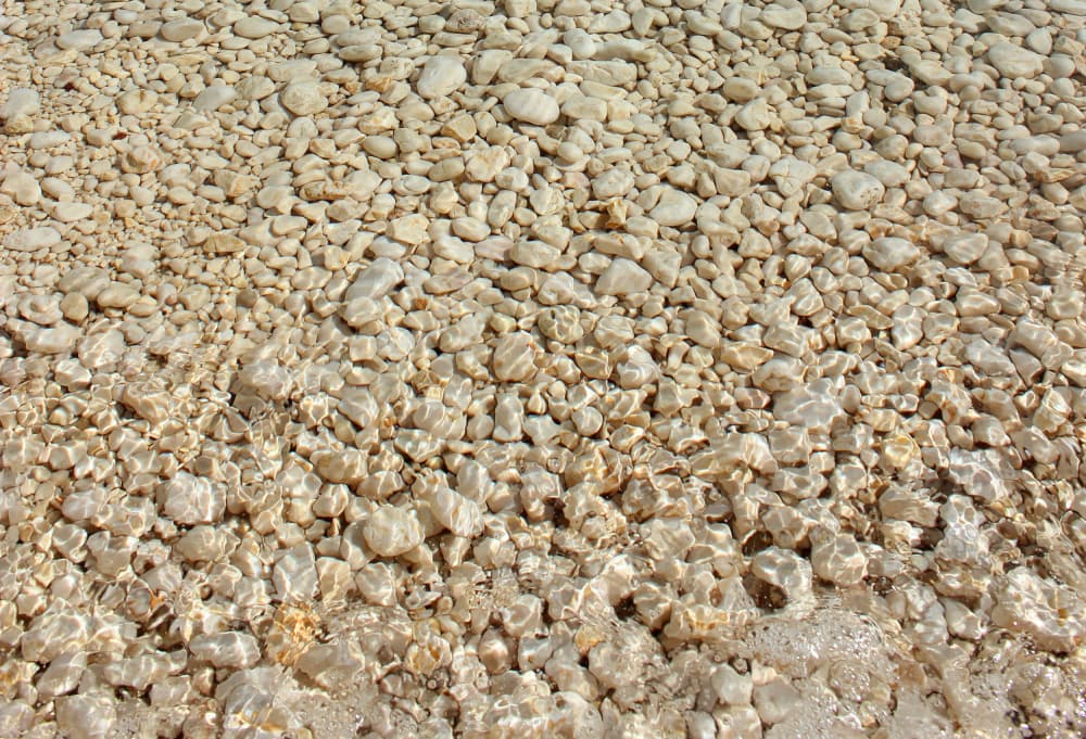 Clear Water Pebbles by Alyson Fennell — canvas wall art