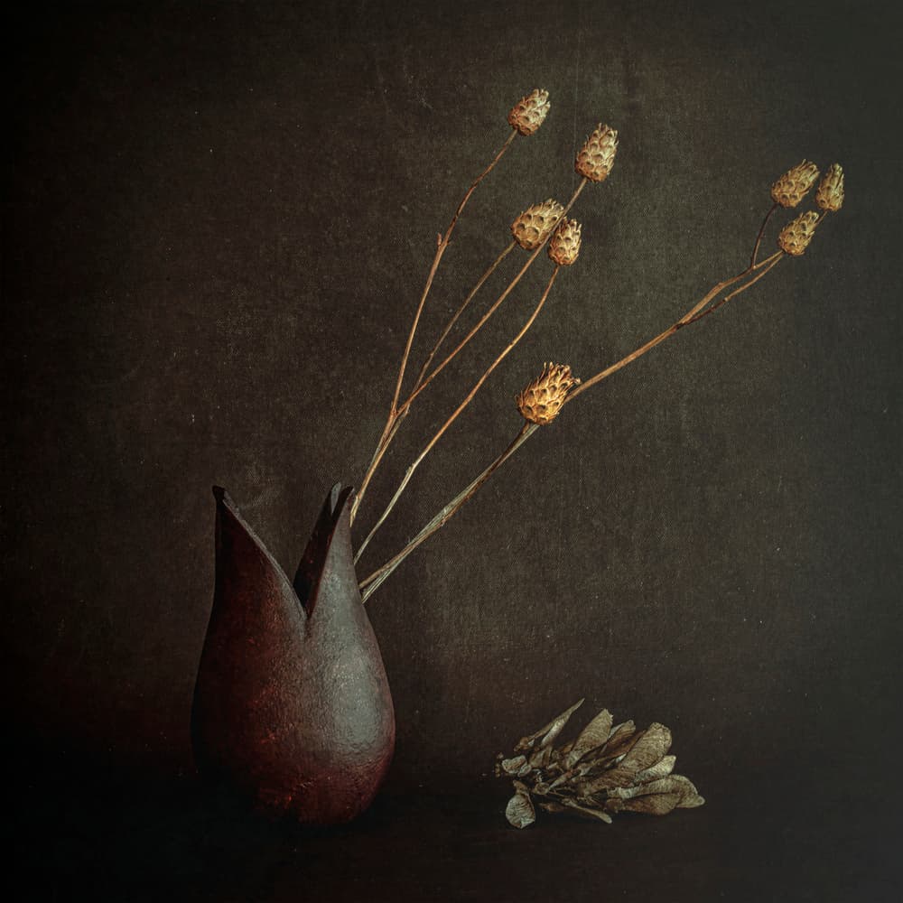 Dark Rustic Botanicals by Cicek Kiral — canvas wall art