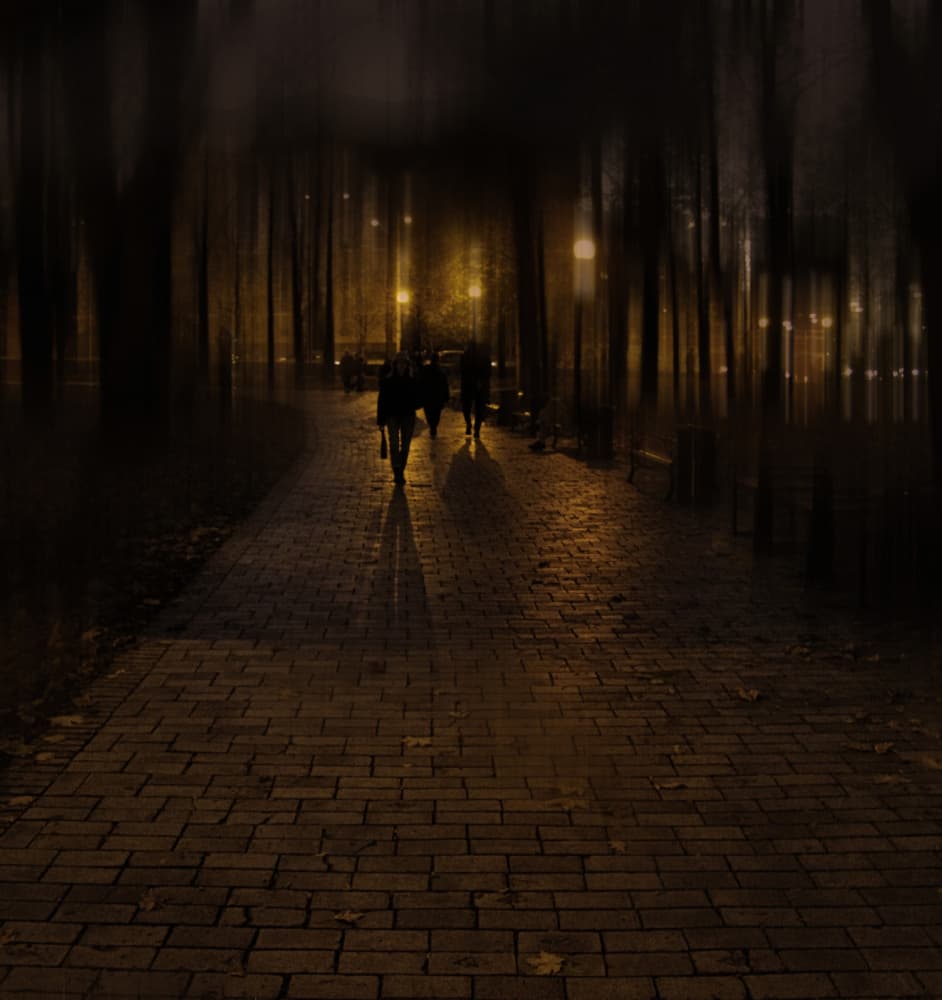 Mysterious Park Night by Alexander Kiyashko — canvas wall art