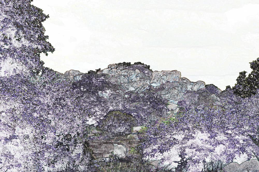 Mysterious Mountain Forest by Santhosh ch — canvas wall art