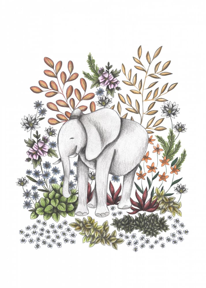 Gentle Elephant Garden by Cecilia Battaini — canvas wall art