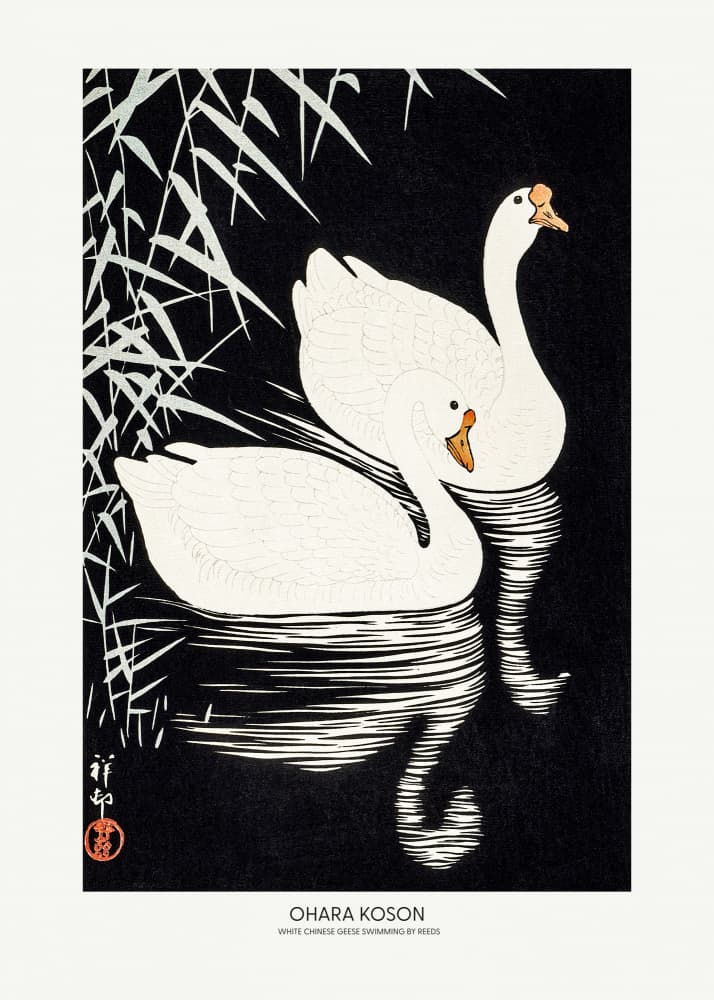 White Chinese Geese Swimming by Reeds by Ohara Koson — canvas wall art