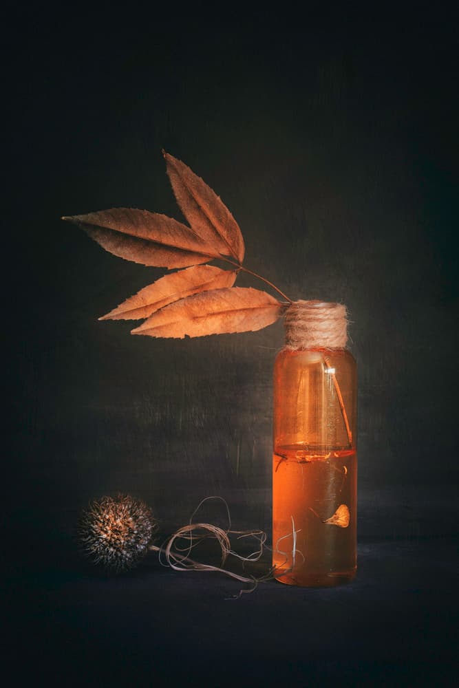 Golden Autumn Elements by Cicek Kiral — canvas wall art