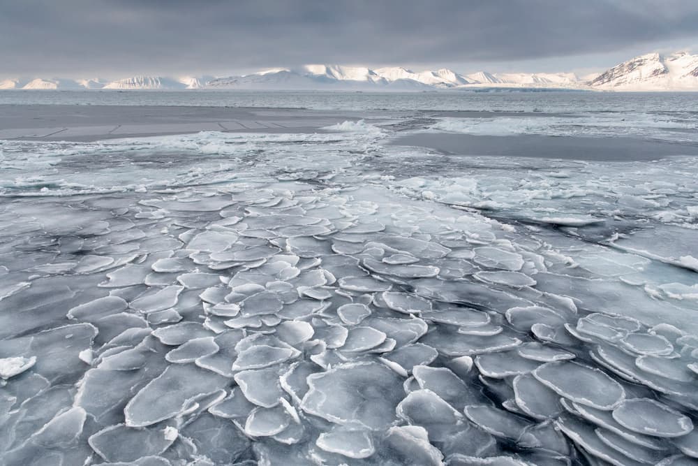 Pancake Ice by Susanne Landolt — canvas wall art