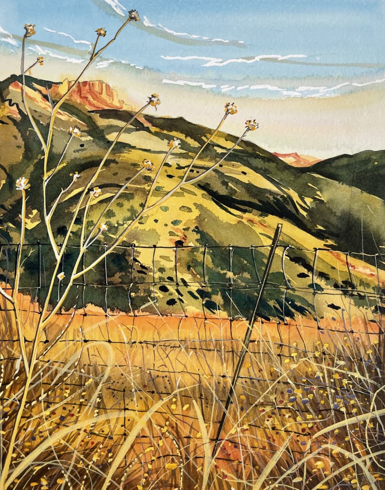 Southwest Hills and Fence by Luisa Millicent — canvas wall art