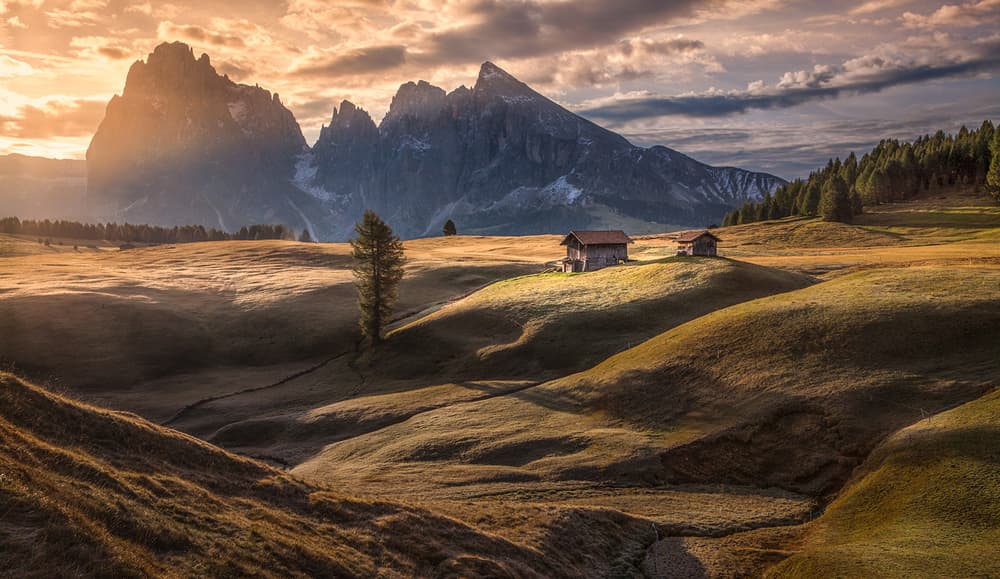 Alpine Meadow Sunrise by Peter Svoboda MQEP — canvas wall art