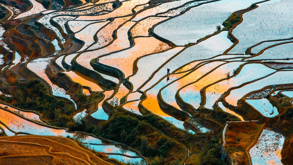 Golden Hour Terraces by Shin Woo Ryu — canvas wall art