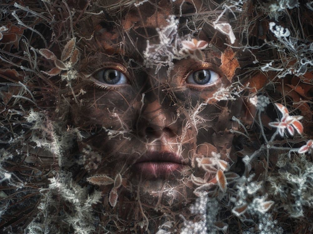 Frosted Nature Face by Holger Droste — canvas wall art