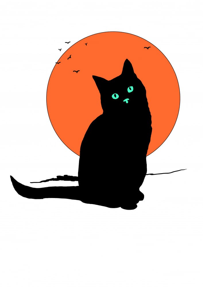 Black Cat Orange Moon by Nicholas — canvas wall art
