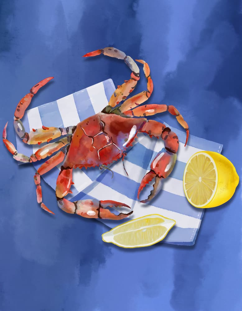 Fresh Crab and Lemon by Elena Dorosh — canvas wall art