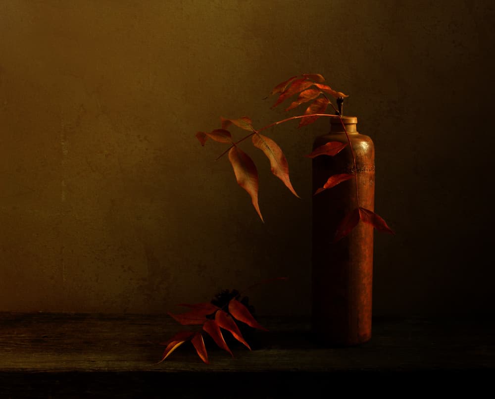 Autumn Still Life by Margaret Halaby — canvas wall art