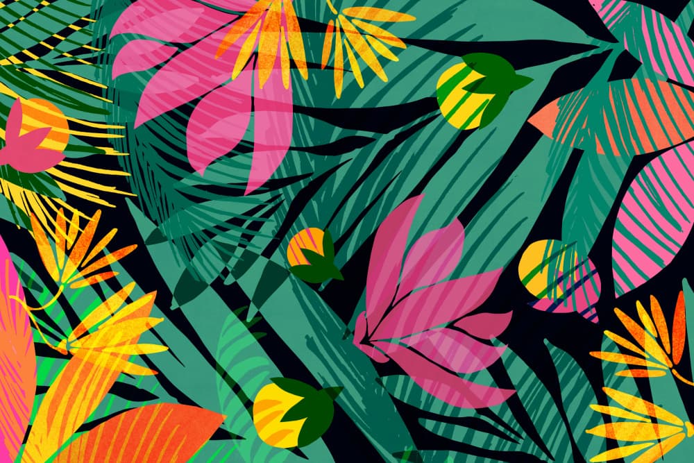 Wild Tropics Wide by Kristian Gallagher — canvas wall art