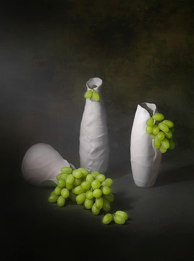 Modern Grape Still Life by Lydia Jacobs — canvas wall art
