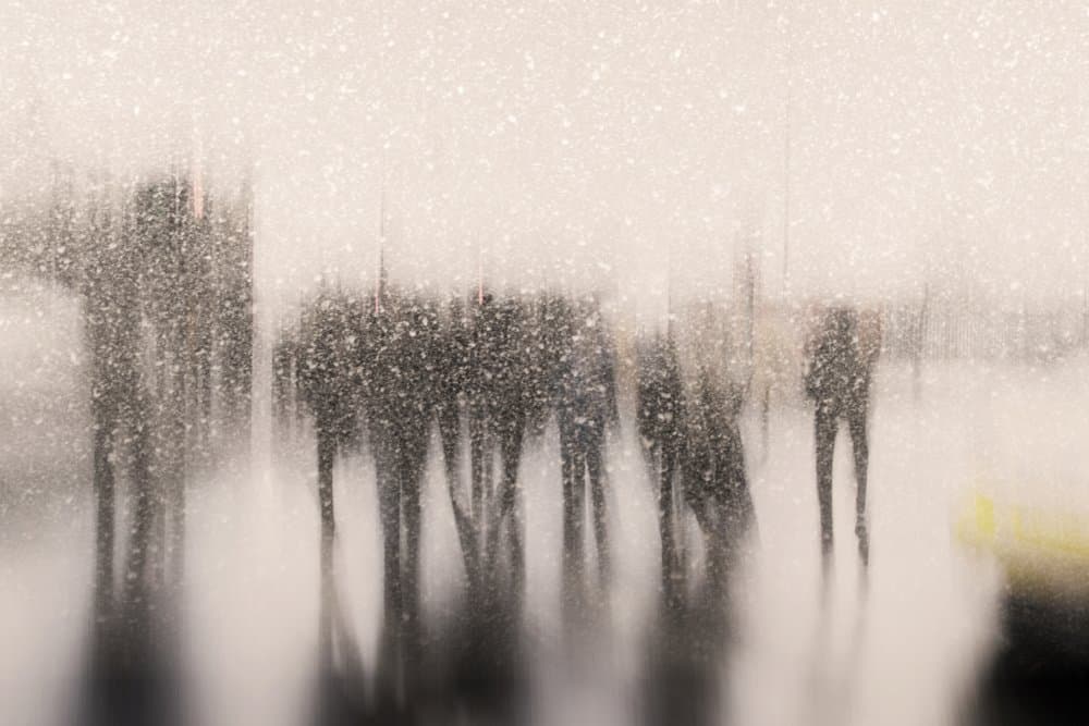Blurry Winter Crowd by Cicek Kiral — canvas wall art