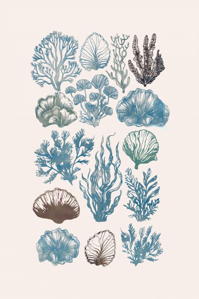 Vintage Marine Flora by casa cartissi — canvas wall art
