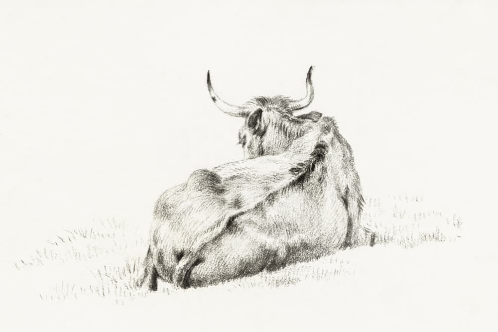Lying Cow (1815)