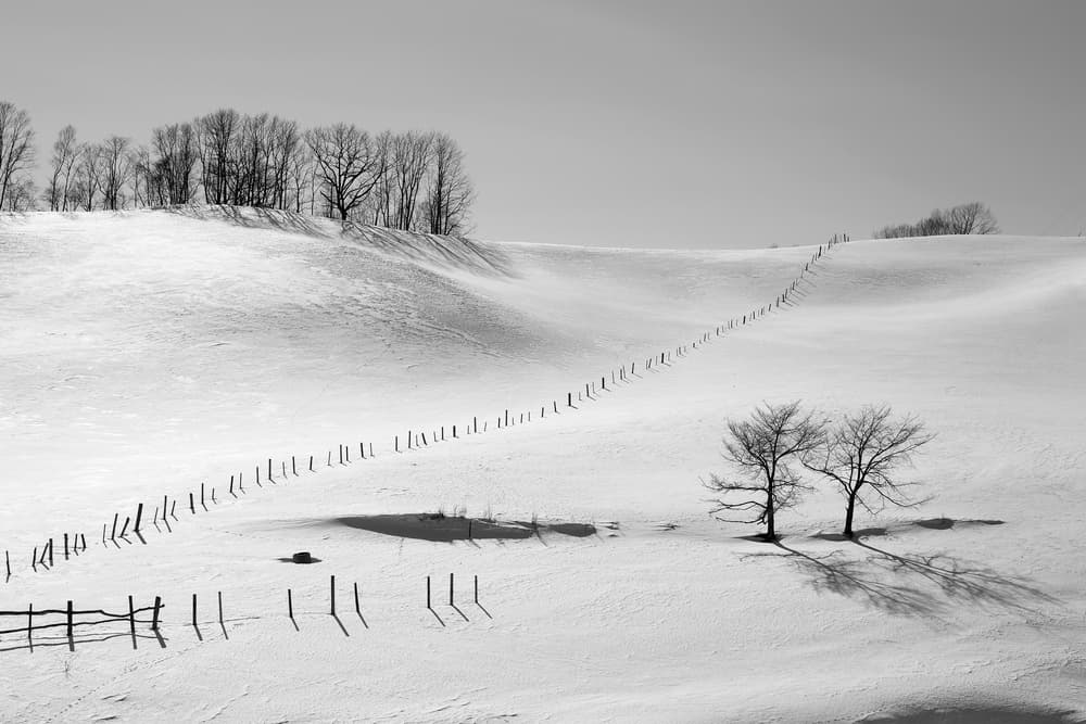 Winter Fields and Fences by Raymond Ren Rong Liu — canvas wall art