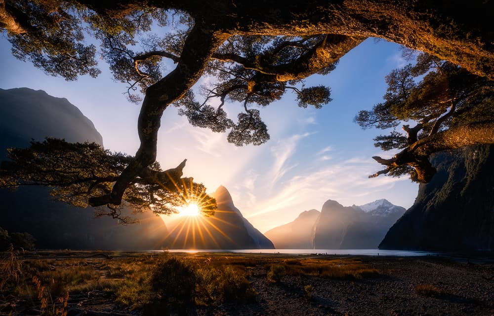 Golden Fjord Sunset by Jingshu Zhu — canvas wall art