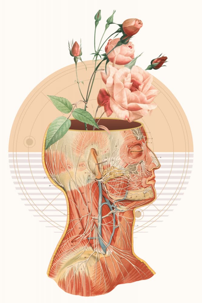 Mind in Bloom by Marja van den Hurk — canvas wall art