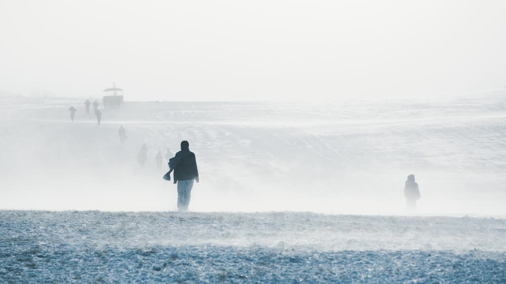 Misty Winter Journey by Bingo Z — canvas wall art