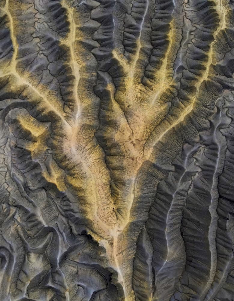 Nature's Golden Veins by Jie Jin — canvas wall art