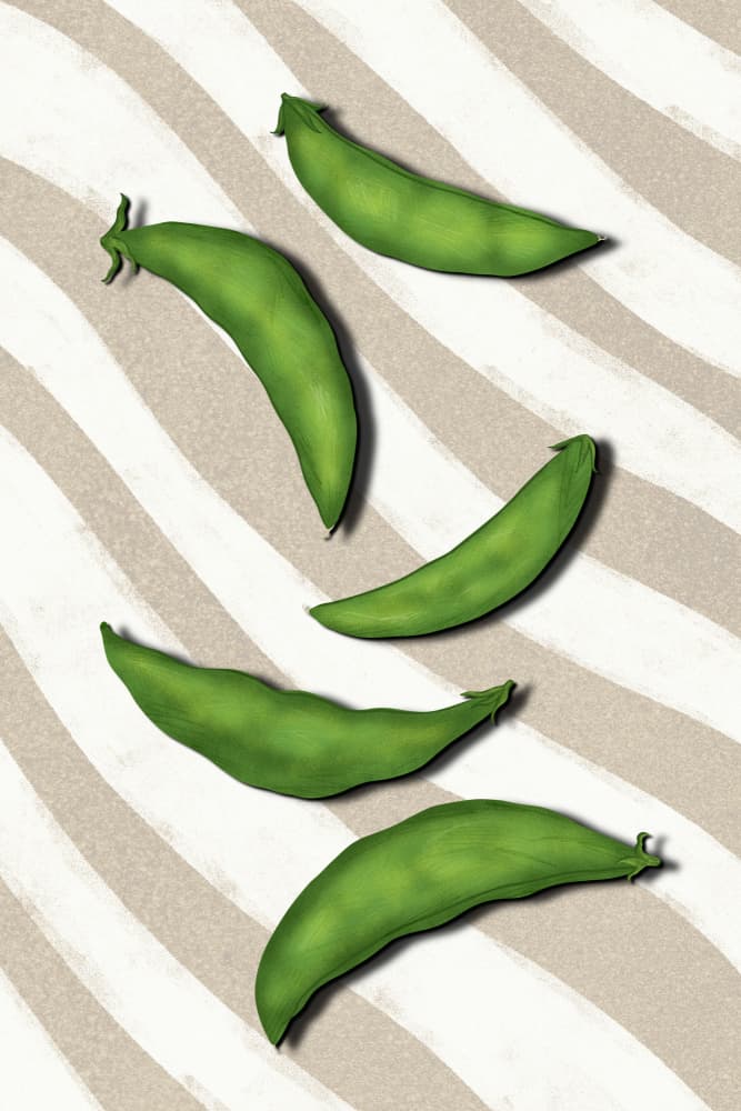 Fresh Green Peas by EMELIEmaria — canvas wall art