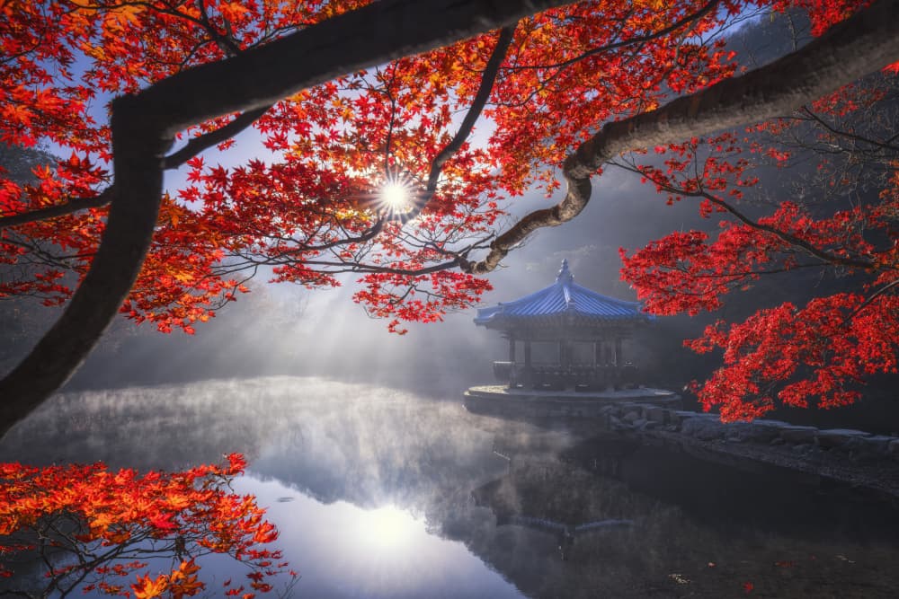 Misty Autumn Pagoda by Tiger Seo — canvas wall art