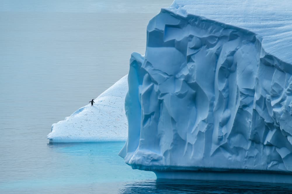 Lone Penguin Iceberg by Mei Xu — canvas wall art