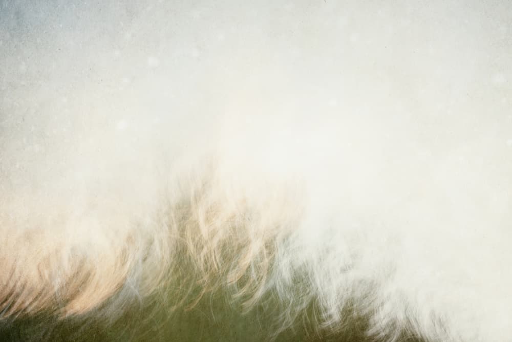 Soft Ethereal Glow by Imaginative — canvas wall art