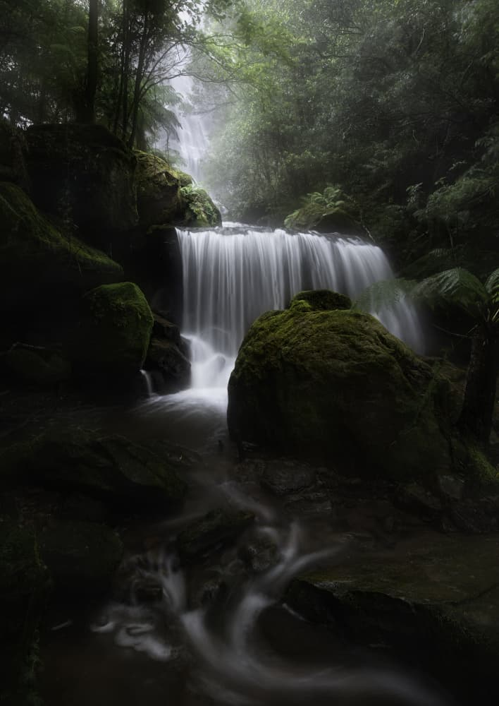 Mystical Forest Waterfall by Yan Zhang — canvas wall art