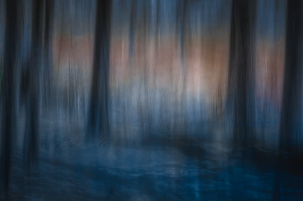 Deep Forest Abstraction by Ina Bouhuijzen — canvas wall art