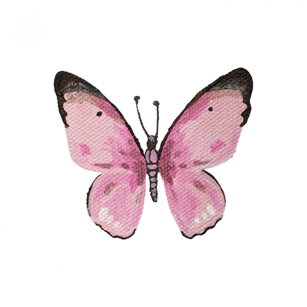 Sweet Pink Butterfly by Madison Phipps — canvas wall art