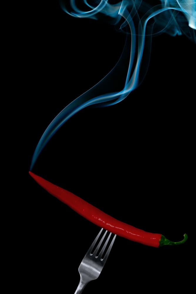 Hot Chili Smoke by Gert Lavsen — canvas wall art