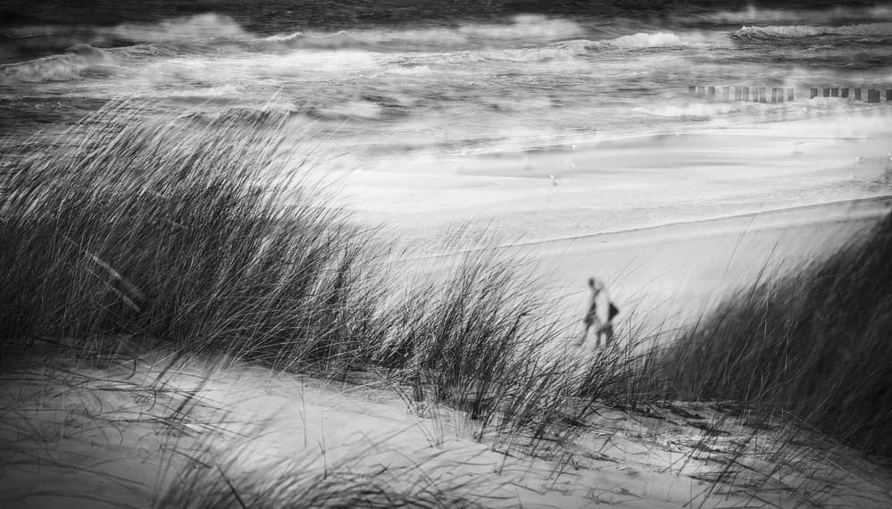 Dunes Beach Walker by Anna Niemiec — canvas wall art